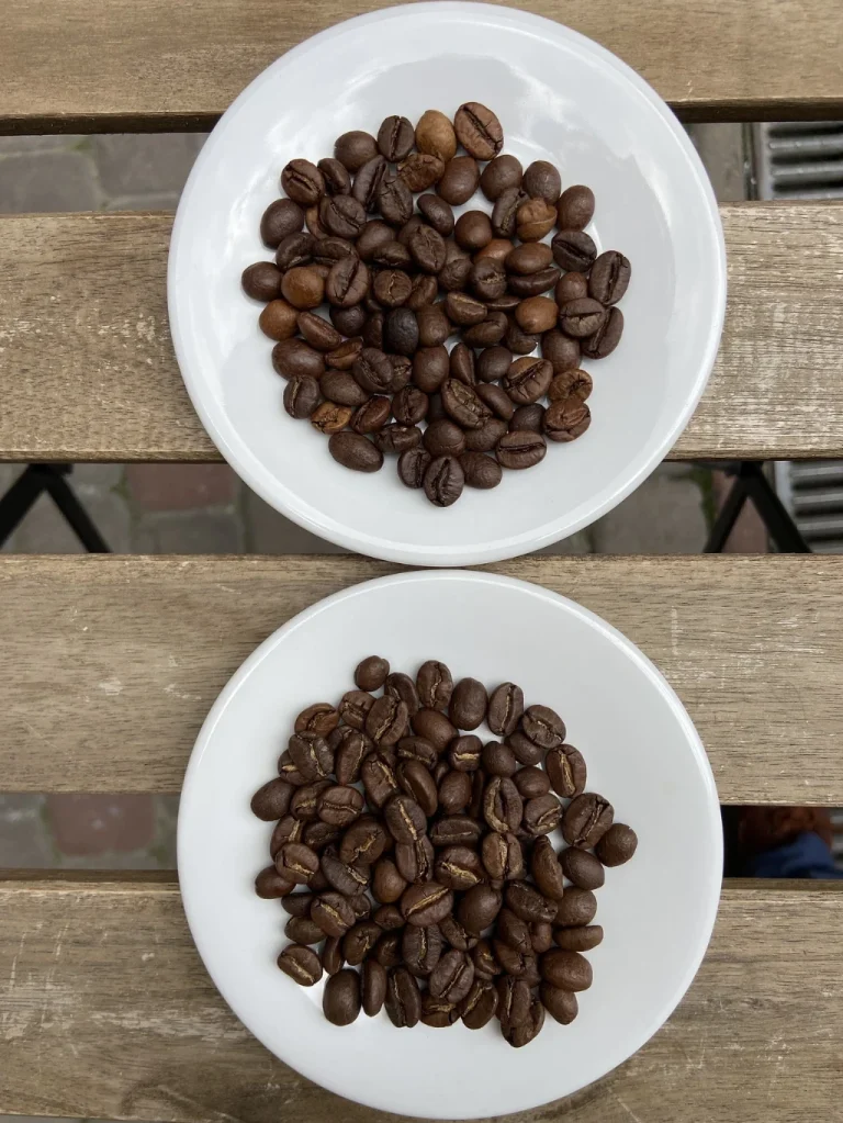 Арабіка чи робуста: глибоке порівняння двох головних видів кави